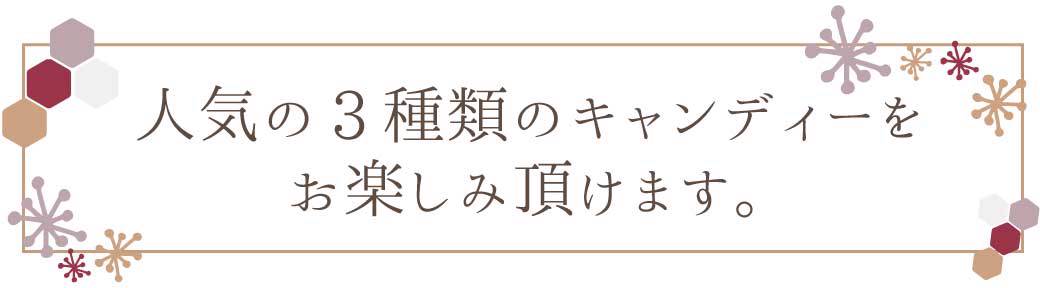 《メール便選択可》チヨダ 和からし 300g × 2袋