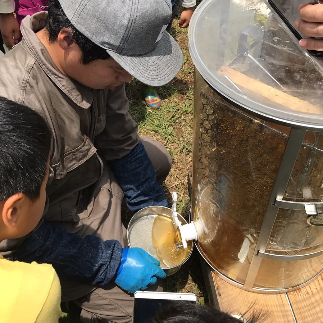 みつばちのーとの採蜜体験の様子