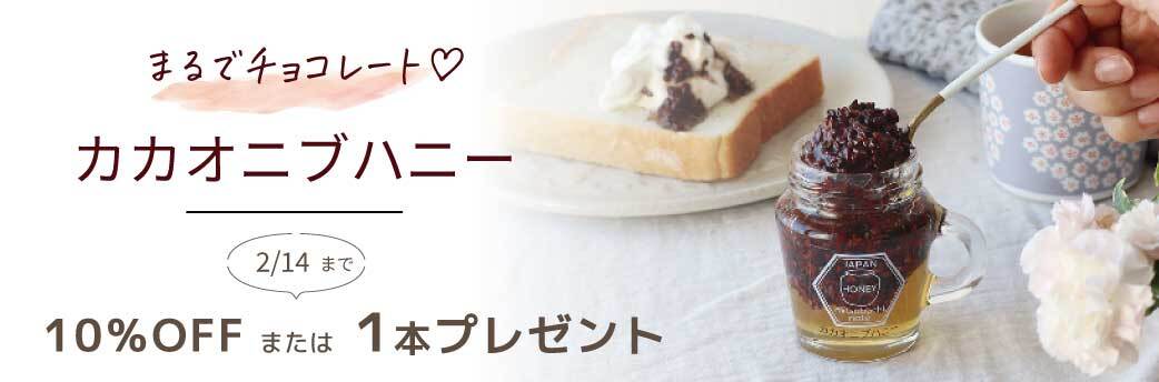 カカオニブ バナー