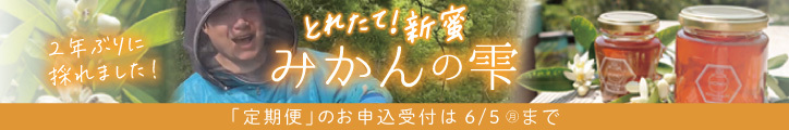 バナー みかんの雫定期便