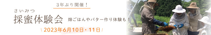 採蜜体験 6月10日～11日
