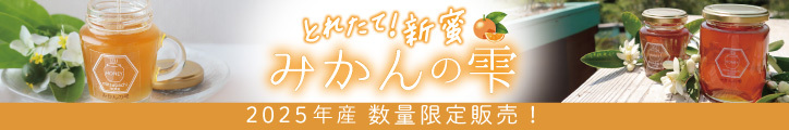 みかん