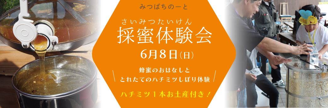体験会
