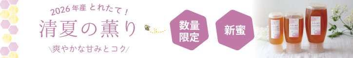 清夏の薫りチューブ