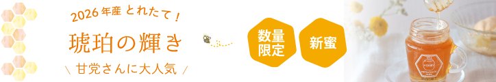 琥珀の輝き