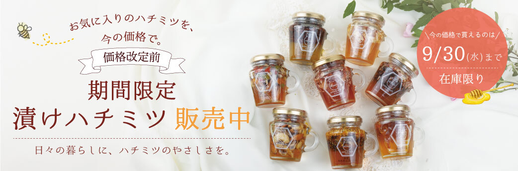 価格改定前
