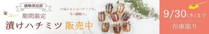 価格改定前