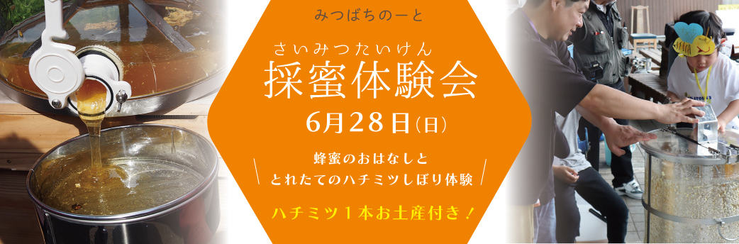 採蜜体験会