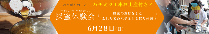 採蜜体験会