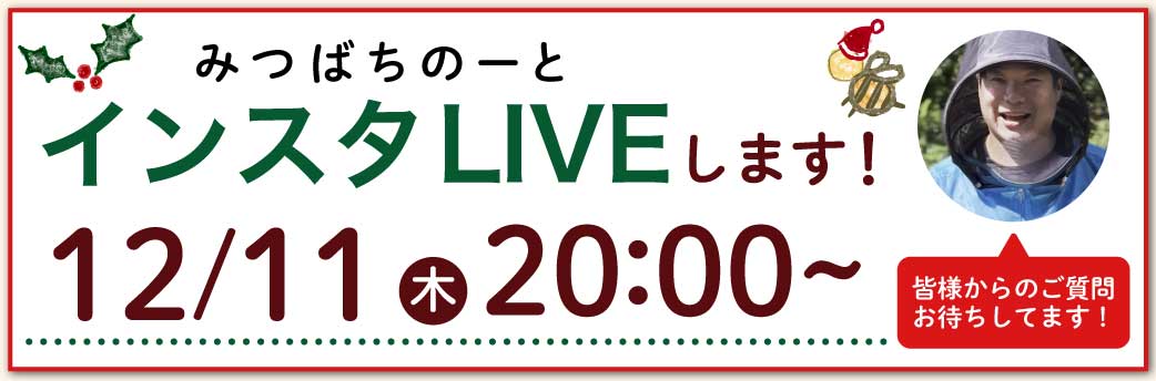 インスタライブ告知