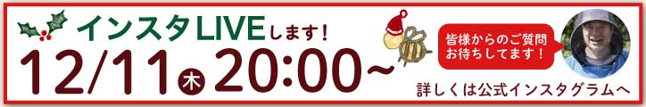 インスタライブ告知