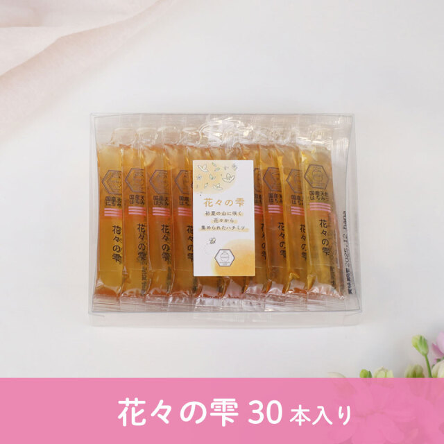 スティックハチミツ 2025.2