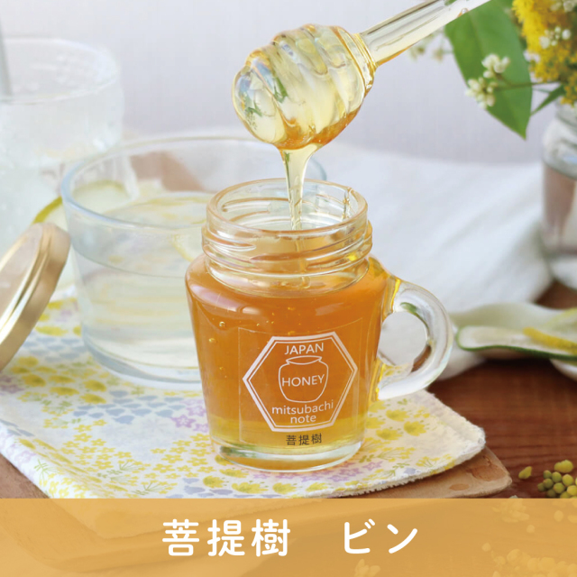 菩提樹 サムネ 2026年7月