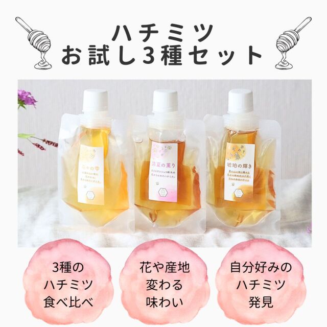 パウチ ハチミツ3種セット