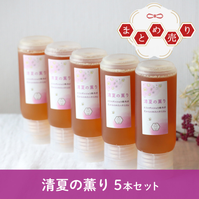 チューブまとめ売り 2024年